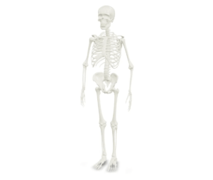 13_研修・教育商材